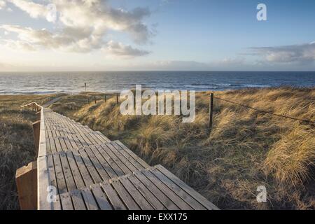 Promenade dans les dunes, Rantum, Sylt, Schleswig-Holstein, Allemagne, Europe Banque D'Images