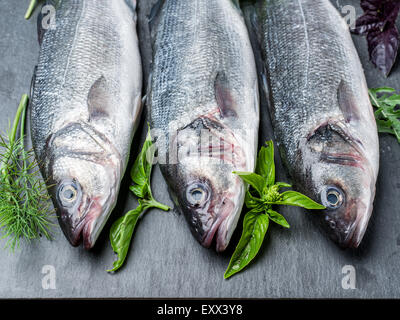 Trois poissons - le loup de mer sur un conseil de graphite avec épices et herbes. Banque D'Images