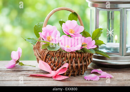 Panier de fleurs et de Wild rose vintage avec lampe électrique. Banque D'Images