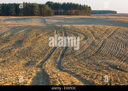 Labourées et ensemencées domaine landscpe photographié en Pologne au début du printemps. Beau paysage rural au coucher du soleil avec golden lig Banque D'Images