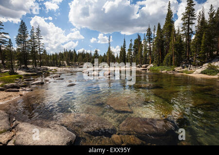 Toulumne River in California's Yosemite National Park Banque D'Images