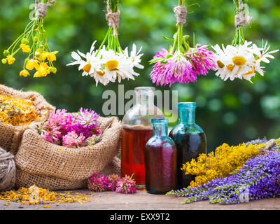 Des bouquets d'herbes de guérison, bouteille d'huile ou de teinture, sacs de jute avec marigold séché et le trèfle. La médecine de fines herbes. Banque D'Images