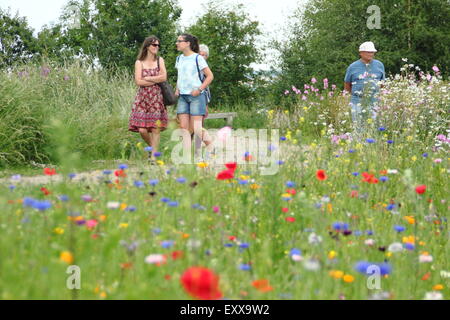 Les visiteurs de Sheffield Manor Lodge à pied le long d'un chemin bordé de fleurs sauvages, Yorkshire, Angleterre, Royaume-Uni Banque D'Images