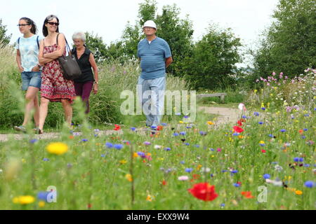 Les visiteurs de Sheffield Manor Lodge à pied le long d'un chemin bordé de fleurs sauvages, Yorkshire, Angleterre, Royaume-Uni Banque D'Images