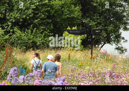 Les visiteurs marchent à travers les prés de fleurs sauvages à Sheffield Manor Lodge, Sheffield, Angleterre Banque D'Images