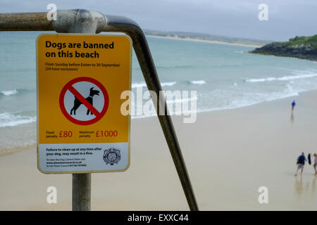 St Ives, Cornwall, UK : Les chiens sont interdits sur cette plage signe. La plage de Porthminster. Banque D'Images