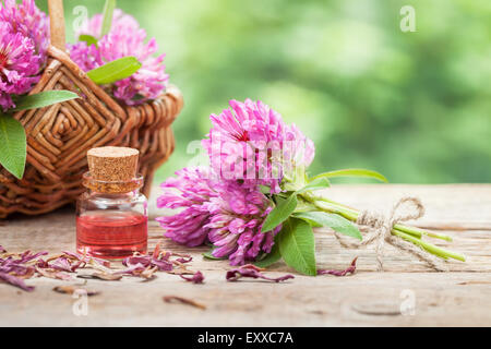 Bouteille d'elixir ou huile essentielle, bouquet de fleurs de trèfle et de panier. Banque D'Images