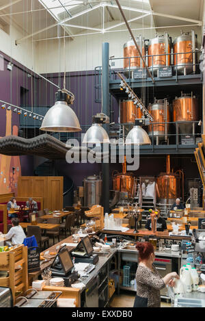 À l'intérieur d'une micro brasserie brasserie de la vraie bière bière artisanale dans la région de Greenwich, London, England, UK - montrant les cuves en cuivre et pub Banque D'Images