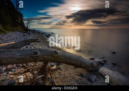 Beautifu rocky mer avec du bois flotté troncs des arbres au lever ou au coucher du soleil. Côte de la mer Baltique Banque D'Images