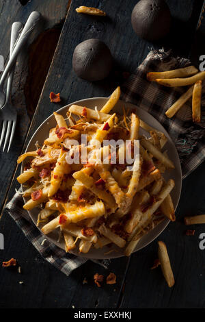 Salé fait maison fromage frites avec du bacon Banque D'Images