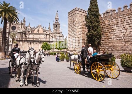 De chariot tiré par des chevaux/panier/transport dans le centre de Séville, avec la Cathédrale de Séville, Andalousie, Espagne, Europe. En avril Feria Festiv Banque D'Images