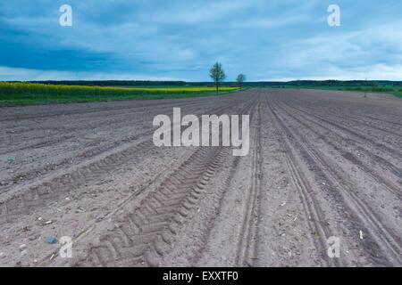 Champ labouré dans le calme paysage campagne polonaise. Paysage de printemps Banque D'Images