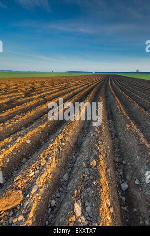 Champ labouré dans le calme paysage campagne polonaise. Paysage de printemps Banque D'Images