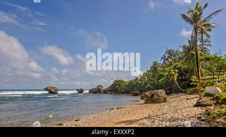 Plage de Bathsheba Barbade Antilles Banque D'Images