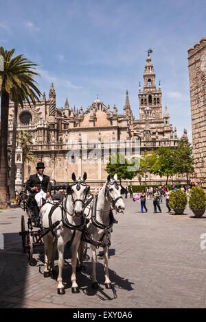 De chariot tiré par des chevaux/panier/transport dans le centre de Séville, avec la Cathédrale de Séville, Andalousie, Espagne, Europe. En avril Feria Festiv Banque D'Images