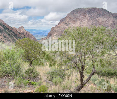 Vue par la fenêtre, sur les pinacles / PIC Emory Trail dans la région du bassin de montagnes Chiso, Big Bend National Park, Texas. Banque D'Images