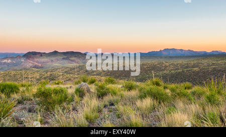 De montagnes Chiso Sotol Vista donnent sur, sur la Ross Maxwell Scenic Drive au lever du soleil, le parc national Big Bend, Texas. Banque D'Images