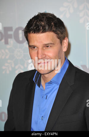 LOS ANGELES, CA - le 11 janvier 2011 : David Boreanaz, star de 'Bones', à la Fox All-Star party Hiver 2011 à Pasadena. Banque D'Images