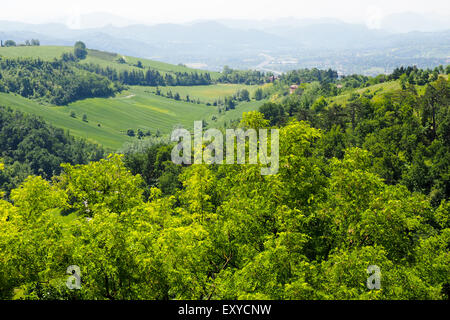 Verts pâturages et collines vu de sanctuaire de la Madonna di San Luca, Bologne, Emillia-Romagna, Italie. Banque D'Images