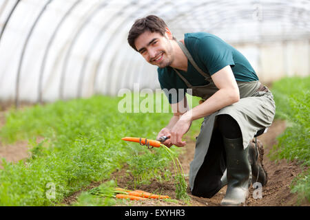 Vue d'un jeune agriculteur attrayant carottes récolte Banque D'Images