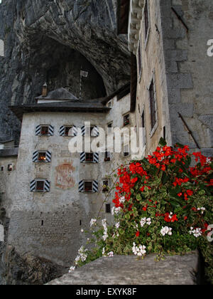 Château de Predjama. Un château renaissance construit dans une grotte, près de Postojna. La Slovénie. Banque D'Images