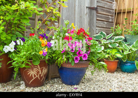 Abri de jardin entouré de plantes et d'arbustes en pots colorés. Banque D'Images