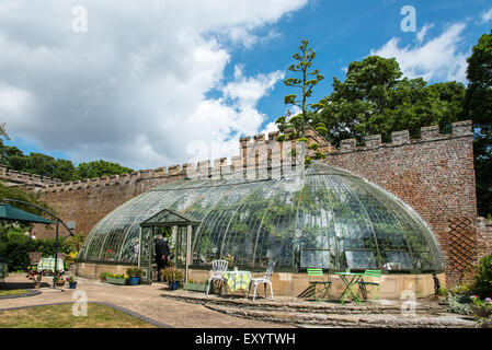 Ramsgate, Kent, UK 17 juillet 2015. Un géant de l'agave américain, originaire du désert du Mexique, est la floraison dans le jardin italianisant de Ramsgate. L'agave, l'un d'une paire dans la serre au King George VI Memorial Park est parfois connu comme un maguey ou siècle telle qu'elle peut se développer pour un maximum de 100 ans avant la floraison une fois puis meurt. Les fleurs sont sur une flambée qui est maintenant proche de 30 pieds de haut. Une partie de la toiture de la serre classé grade 2 a été retirée temporairement pour permettre à l'épi de croître. Banque D'Images