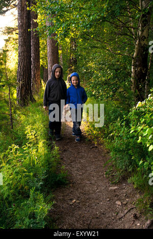 Les enfants (frères, amis) Marche, randonnée en forêt d'été vert sauvage Banque D'Images