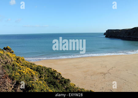 Barafundle bay beach, Pembrokeshire, Pays de Galles de l'Ouest. UK Banque D'Images