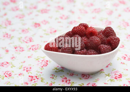 Rubus idaeus 'Autumn Bliss'. Fruits rouges fraîchement cueillis dans un bol sur un tissu fleuri. Banque D'Images