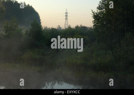 Tour à haute tension tôt le matin dans un environnement d'arbres et le brouillard Banque D'Images