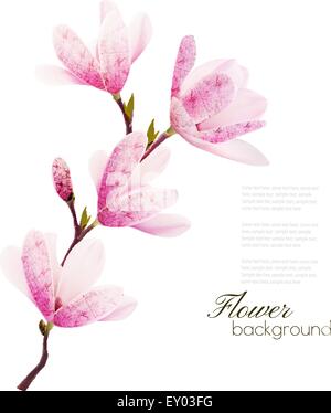 Avec fond de fleurs blossom succursale de fleurs roses. Vector Illustration de Vecteur