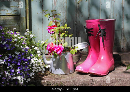 La vie encore dans le jardin d'été. Wellington, Lobelia bleu rose fuchsia et l'extérieur de la vieille cabane en bois, style vintage. Banque D'Images