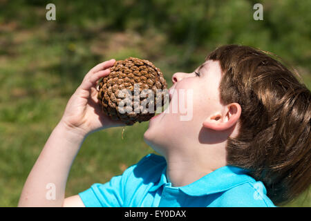 Little Boy eating cône de pin Banque D'Images