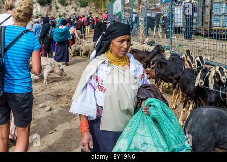 Une femme en costume traditionnel au marché de bétail. Otavalo, Équateur. Banque D'Images