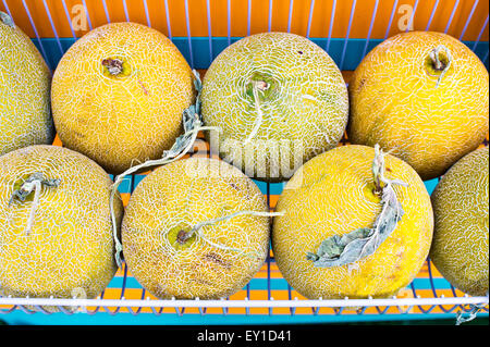 Les melons frais en vente sur un marché Banque D'Images