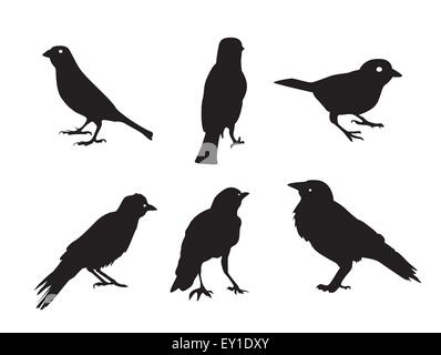Silhouettes oiseaux isolated on White Vector Illustration Illustration de Vecteur