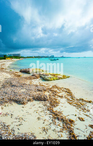 Bateaux de pêche sur la rive d'Aruba Banque D'Images