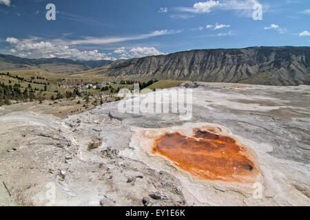 Piscine orange en haut de la Mammoth Terrasses, Parc National de Yellowstone Banque D'Images