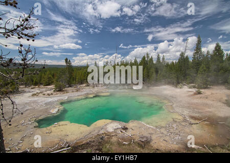 Citerne extérieure dans le Norris Geyser Basin, Parc National de Yellowstone Banque D'Images