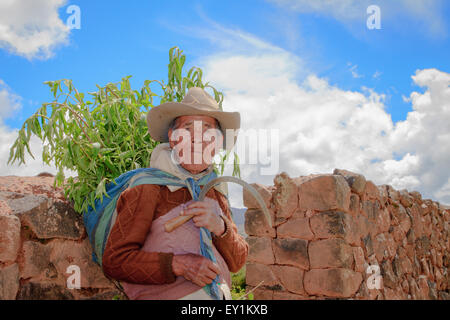 RAQCHI PÉROU - 15 janvier : les Indiens Quechua non identifié l'homme travaille à l'intérieur de l'agriculture, Pérou Ruines Raqchi le 15 janvier 2013. Raqchi Rui Banque D'Images