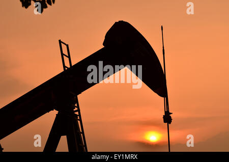 Pumpjack pomper du pétrole brut à partir de puits de pétrole Banque D'Images