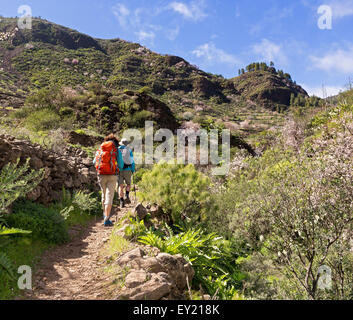 Randonneurs dans le Barranco de Guayadeque canyon, près de Santa Brígida, Gran Canaria, Îles Canaries, Espagne Banque D'Images