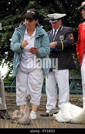 Walton on Thames, Surrey, UK. 20 juillet, 2015. Membre de la Swan Rescue Centre enregistre le poids, les mesures et les numéros d'étiquette de cygnes sur le premier jour de Swan augmenter en 2015. L'empeigne swan en dehors de la recueillir en amont d'une pub de Weir au long de la semaine de l'enquête sur les cygnes sur la Tamise entre Sunbury à Surrey et à Abingdon dans l'Oxfordshire. Credit : Julia Gavin UK/Alamy Live News Banque D'Images