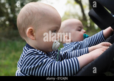 Les frères jumeaux bébé avec la sucette de jouer avec leur poussette Banque D'Images