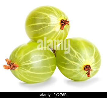 Groseilles isolé sur fond blanc Banque D'Images