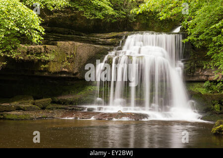 Printemps à West Burton tombe dans le village de West Burton, Yorkshire Dales National Park, Yorkshire, Angleterre, Royaume-Uni Banque D'Images