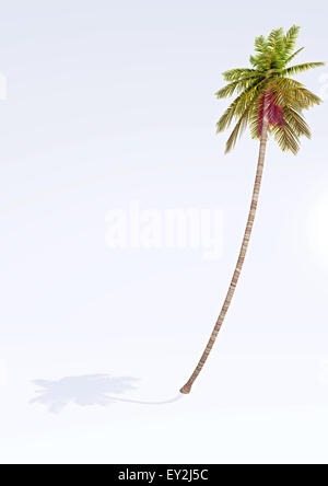 3d illustration palm tree Banque D'Images