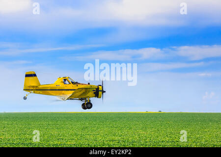 La pulvérisation aérienne des récoltes duster farm field, près de Regina, Saskatchewan, Canada. Banque D'Images