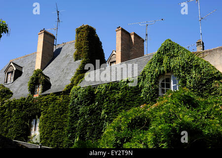 France, Vallée de la Loire, Blois, maison Banque D'Images